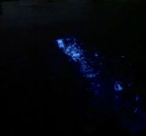 大沼 晶保｜好きな方に向かって　ただ生きよう（2022-07-04）｜8枚目