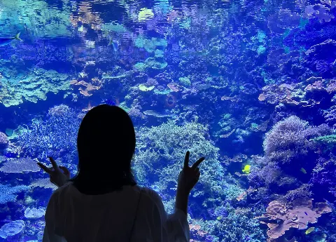 森田 ひかる｜目薬した後に涙目になってるのを見られて、泣いてるって思われた…（2022-08-07）｜2枚目