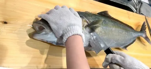 大沼 晶保｜いつか海とお魚（2022-12-25）｜4枚目