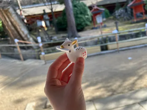 幸阪 茉里乃｜2023年🐰（2023-01-04）｜2枚目