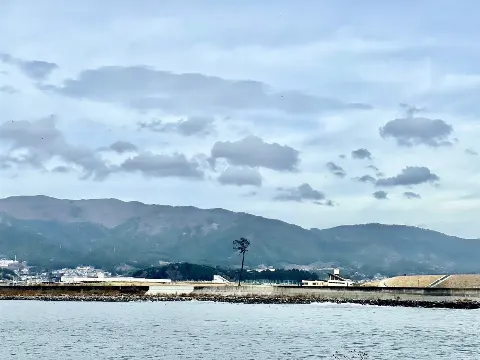 大沼 晶保｜岩手県陸前高田市（2023-03-11）｜3枚目
