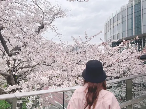 守屋 麗奈｜夜桜（2023-03-28）｜2枚目