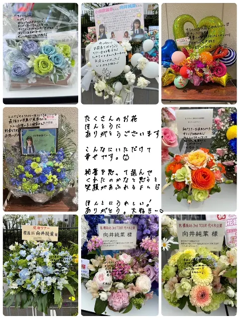 向井 純葉｜最近、お花と縁がある気がする。（2023-04-27）｜2枚目