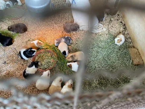 守屋 麗奈｜明日はウェンズデイだけどサンデーに出させていただきます（2023-05-30）｜2枚目