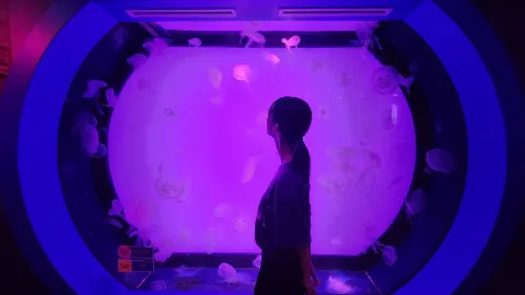 井上 梨名｜いのりぶろぐ　#レゴランド　#シーライフ（2023-09-25）｜9枚目
