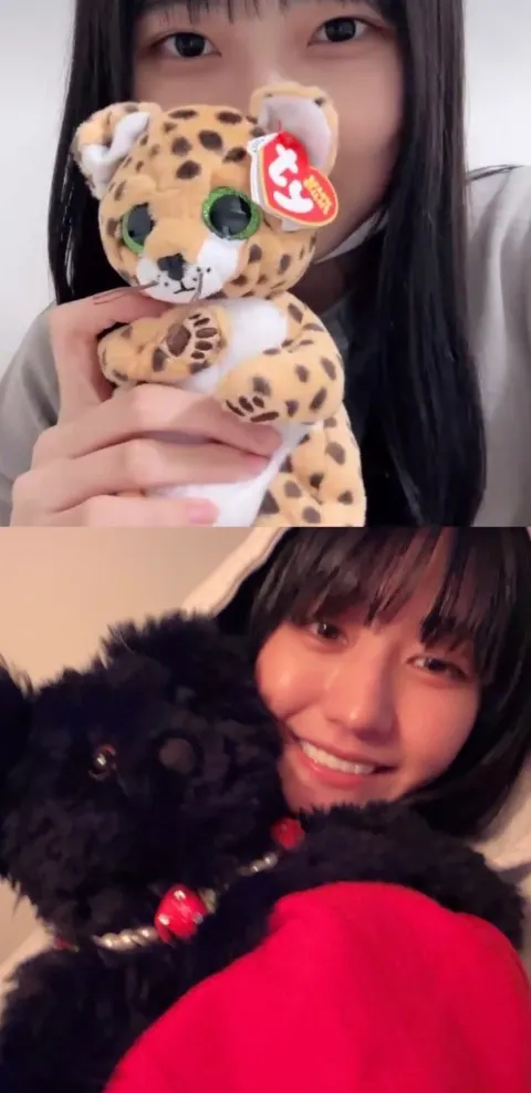 的野 美青｜10.18（2023-10-18）｜3枚目