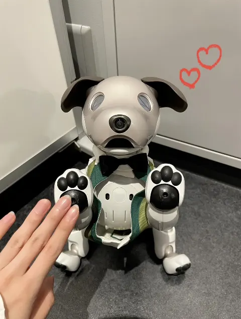 谷口 愛季｜38度目の愛季だよ〜〜 😔㊗️🐶（2023-11-14）｜4枚目