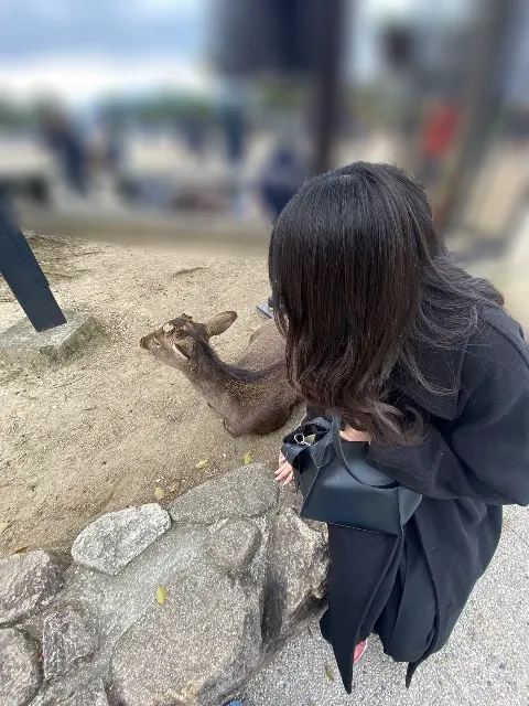 向井 純葉｜だいすきな広島（2024-01-29）｜3枚目