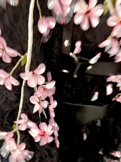 大園 玲｜（2024-03-12）｜9枚目