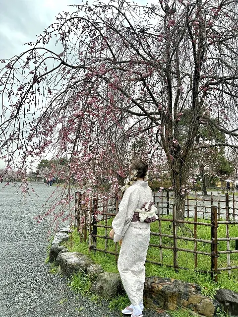 大沼 晶保｜会うべき時に会うべき人と（2024-04-09）｜5枚目