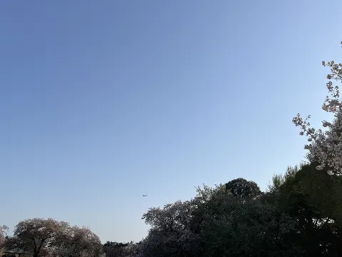 石森 璃花｜切りすぎた前髪を探したいところだけど、出来るだけ視界を明るく…（2024-04-15）｜4枚目