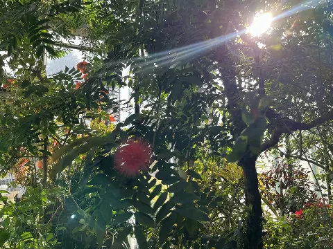 石森 璃花｜切りすぎた前髪を探したいところだけど、出来るだけ視界を明るく…（2024-04-15）｜5枚目