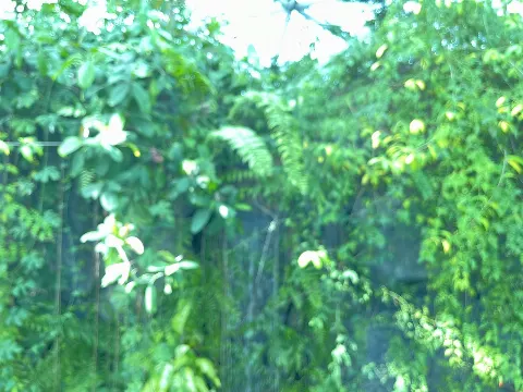 石森 璃花｜切りすぎた前髪を探したいところだけど、出来るだけ視界を明るく…（2024-04-15）｜10枚目