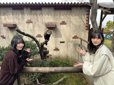 森田 ひかる｜ふくおか！オオサカ！愛知！KANAGAWA！（2024-04-27）｜7枚目