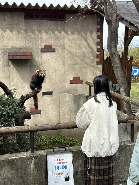 森田 ひかる｜ふくおか！オオサカ！愛知！KANAGAWA！（2024-04-27）｜9枚目