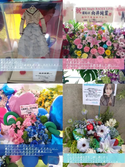 向井 純葉｜お花♡♡（2024-05-13）｜10枚目