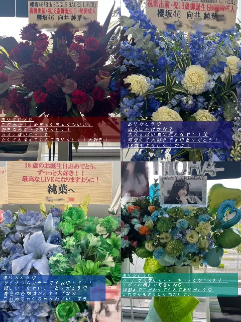 向井 純葉｜お花♡♡（2024-05-13）｜12枚目