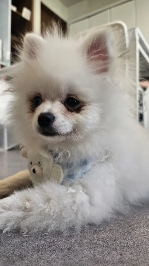 遠藤 光莉｜#146  初櫻坂チャンネル🐶（2024-07-24）｜2枚目