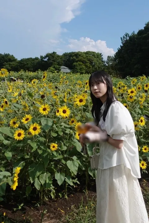 村井 優｜向日葵（2024-08-10）｜9枚目