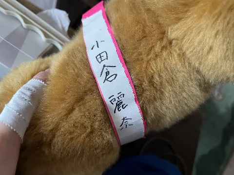 石森 璃花｜未練、107（2024-10-24）｜7枚目