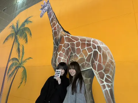 的野 美青｜🇰🇷（2024-11-12）｜8枚目