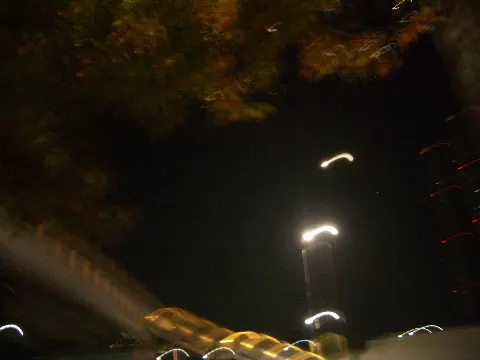 向井 純葉｜⟡.·（2024-11-13）｜15枚目