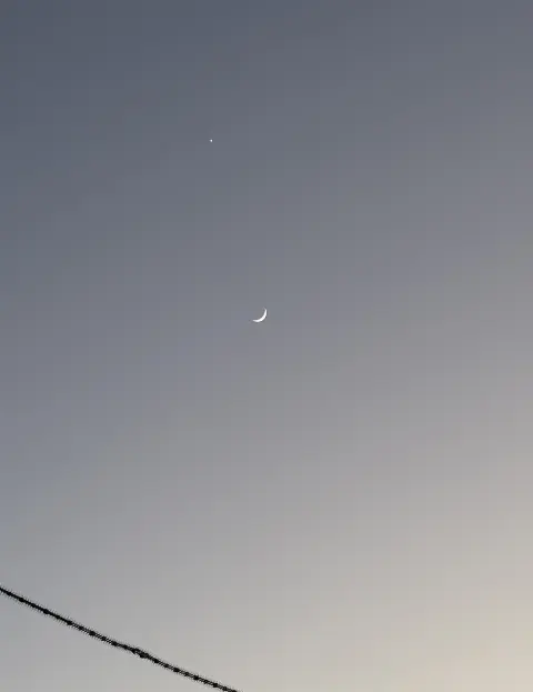 谷口 愛季｜🌙（2025-01-11）