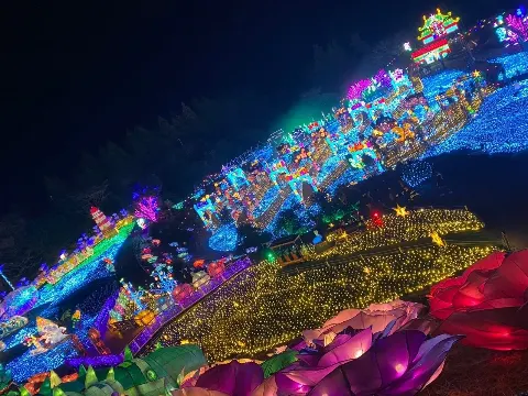大沼 晶保｜初日の出🐍（2025-01-14）｜2枚目