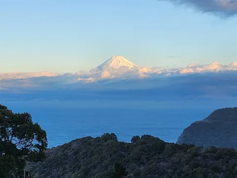 大沼 晶保｜初日の出🐍（2025-01-14）｜8枚目