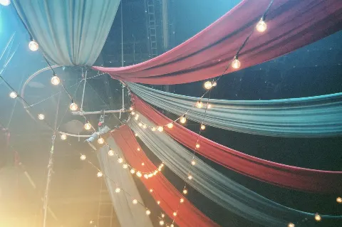 松田 里奈｜#314 🎪📸（2025-02-09）｜5枚目