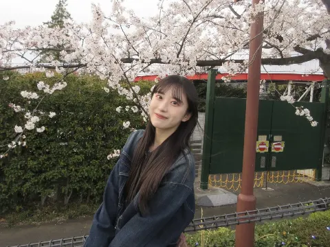 村井 優｜桜（2025-04-11）｜2枚目