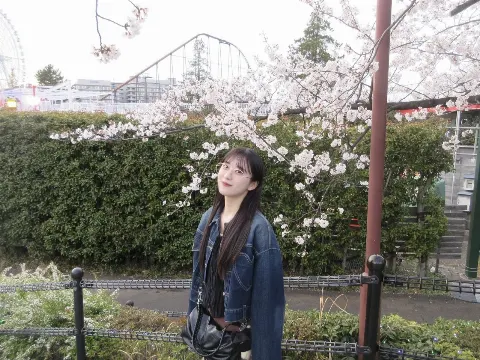 村井 優｜桜（2025-04-11）｜5枚目