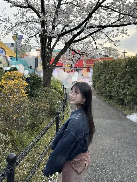 村井 優｜桜（2025-04-11）｜12枚目