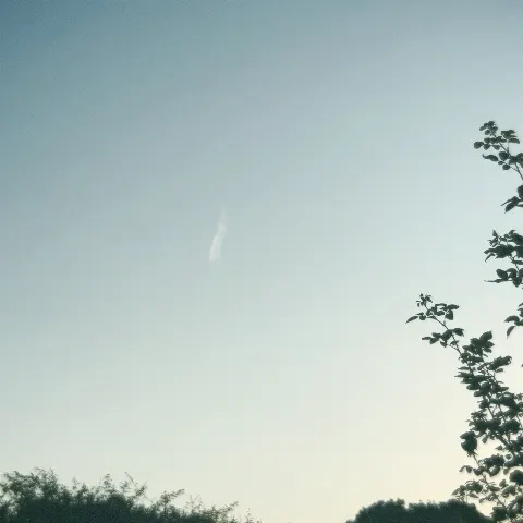 遠藤 光莉｜#293. 最近のこととか。（2025-06-19）｜2枚目