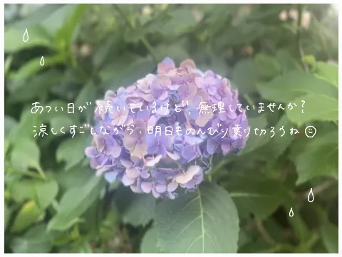 山川 宇衣｜リボンのブラウス　山川宇衣（2025-07-02）｜5枚目