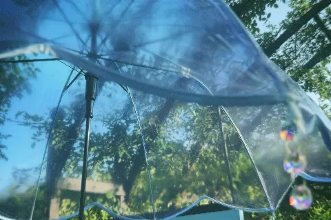 遠藤 光莉｜#308. ☔️✨（2025-07-17）