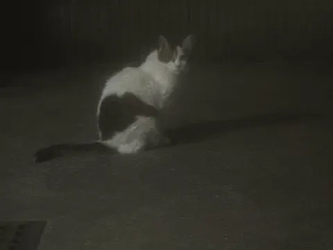 村山 美羽｜7月（2025-07-20）｜20枚目