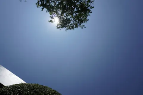 向井 純葉｜人見知りでもさ、だからさ（2025-07-21）｜8枚目
