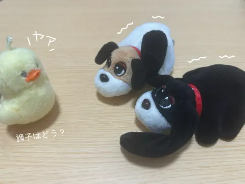 稲熊 ひな｜名前はまだ無い 。             稲熊ひな（2025-07-23）｜3枚目