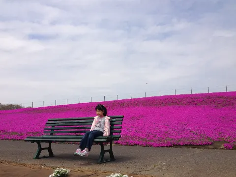 松本 和子｜見たことある？（2025-10-16）｜3枚目