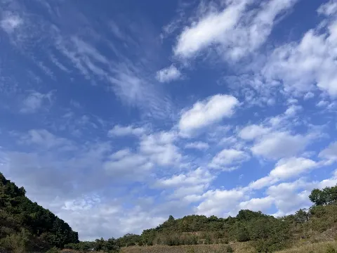 遠藤 光莉｜#338. 涙溢れても拭わない（2025-10-26）｜6枚目