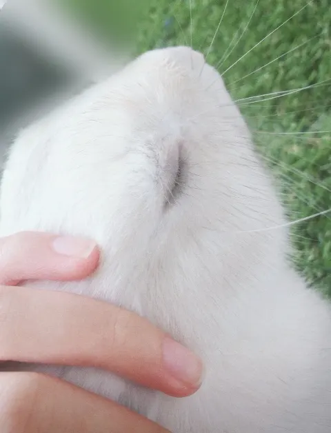 目黒 陽色｜いたずらしちゃうよ🐈‍⬛　目黒陽色（2025-10-31）｜4枚目