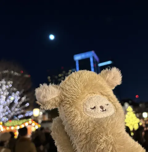 勝又 春｜秋？冬？の春？（2025-12-09）｜6枚目