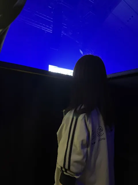 向井 純葉｜また同じ道を選ぶ（2025-12-23）｜5枚目