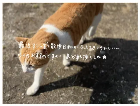 山川 宇衣｜後ろ髪を引かれた（2026-02-19）｜4枚目