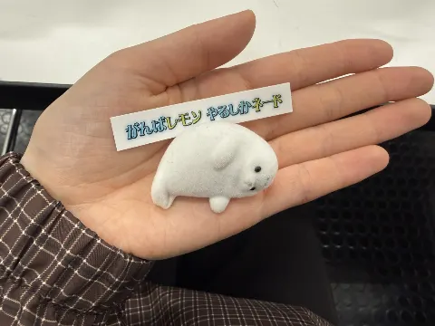 山川 宇衣｜タイムトラベル、春（2026-04-19）｜3枚目