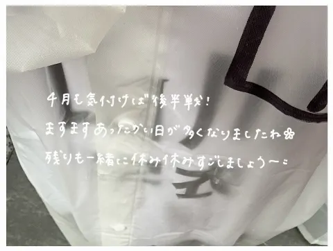 山川 宇衣｜押しボタン式の信号のボタンを押し忘れてみる（2026-04-23）｜6枚目