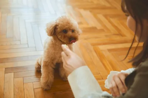 遠藤 理子｜🐶（2026-05-15）｜6枚目
