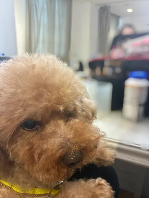 遠藤 理子｜🐶（2026-05-15）｜7枚目
