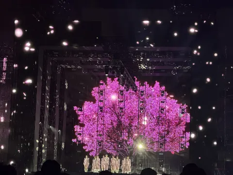 目黒 陽色｜光彩✨　目黒陽色（2026-05-30）｜6枚目